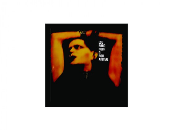 Parche Espaldera - Lou Reed Rock n Roll Animal